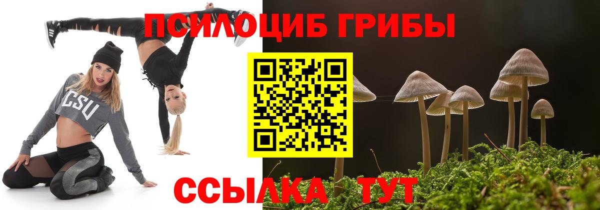 Галлюциногенные грибы Cubensis  Вход с VPN  Самара 